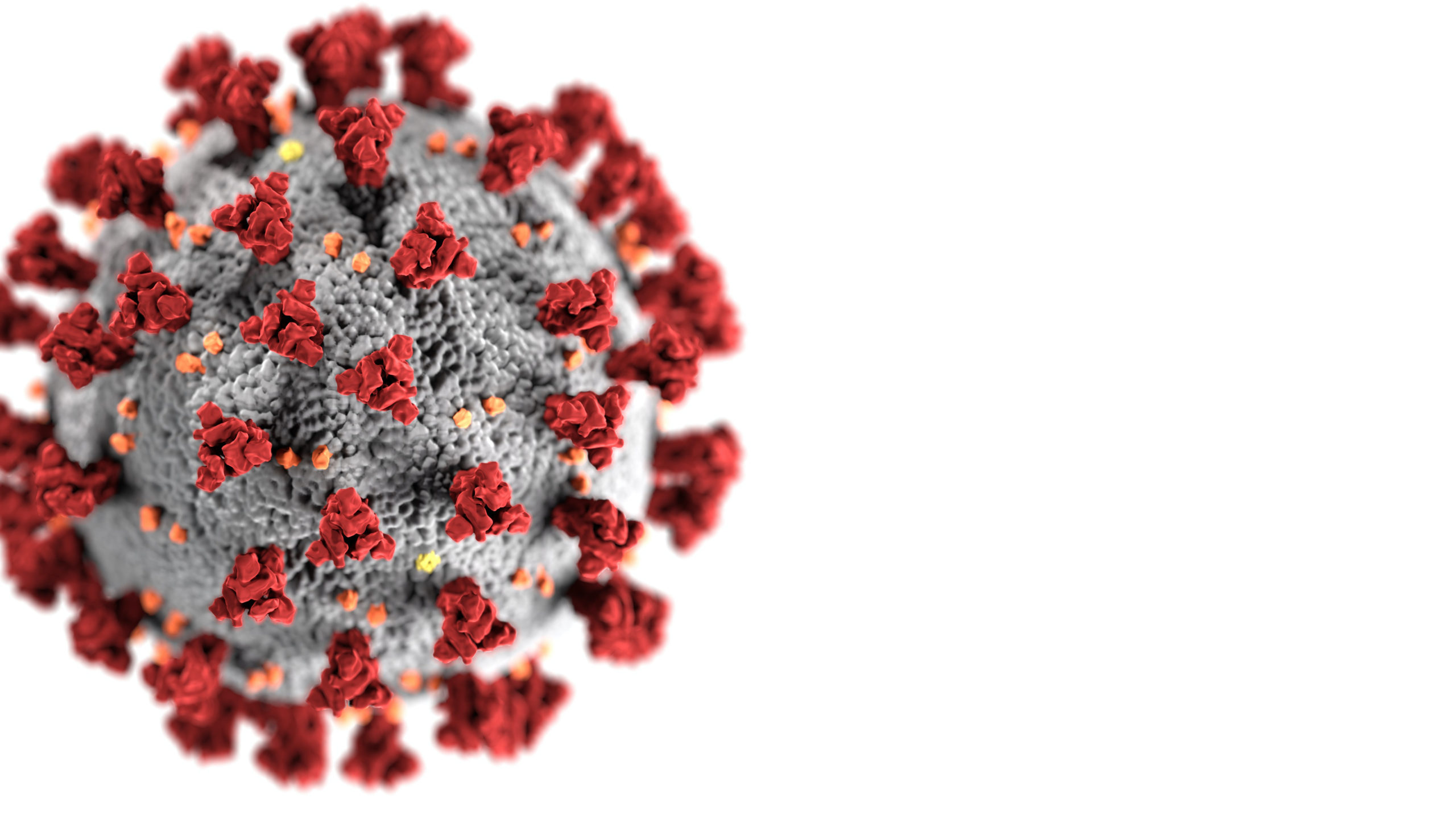 coronavirus-39929332